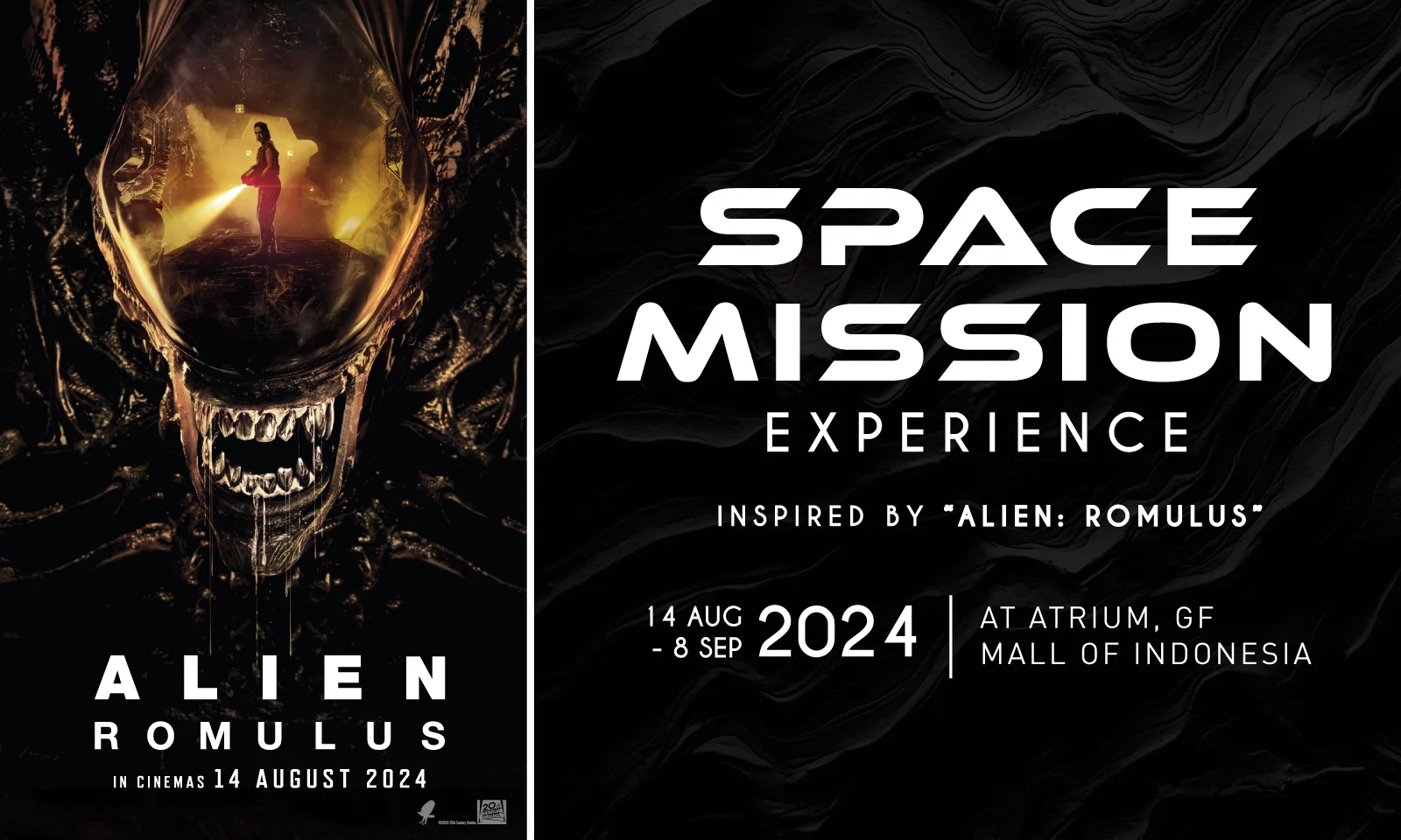 Space Mission Experience