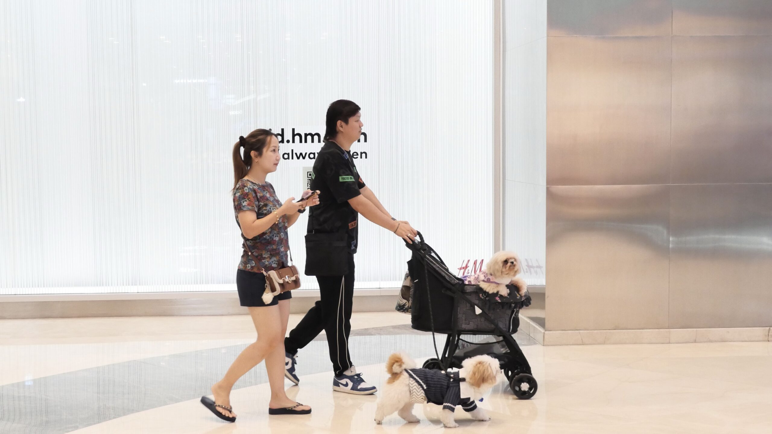 SUPERPETS by JKTGO Hadir di Mall of Indonesia SUPERPETS by JKTGO Hadir di Mall of Indonesia